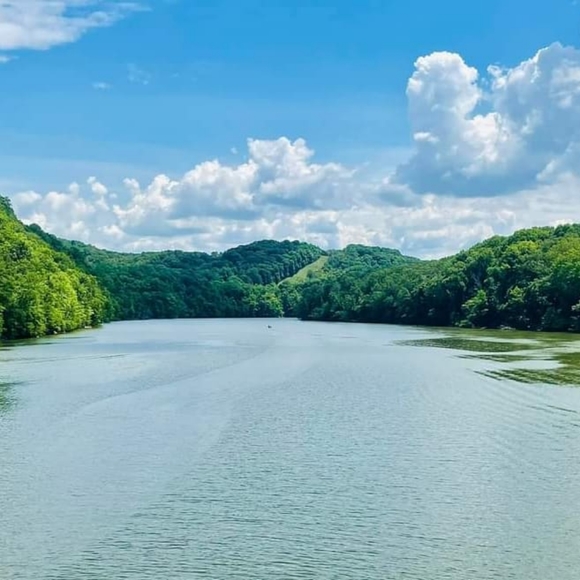 Meet your Posher, Shayne - Picture 3 of 3